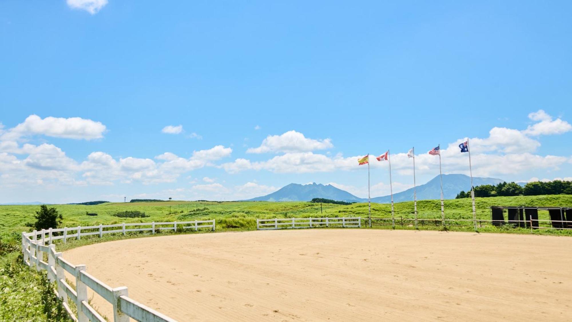 Гостевой дом El Patio Ranch Асо Экстерьер фото