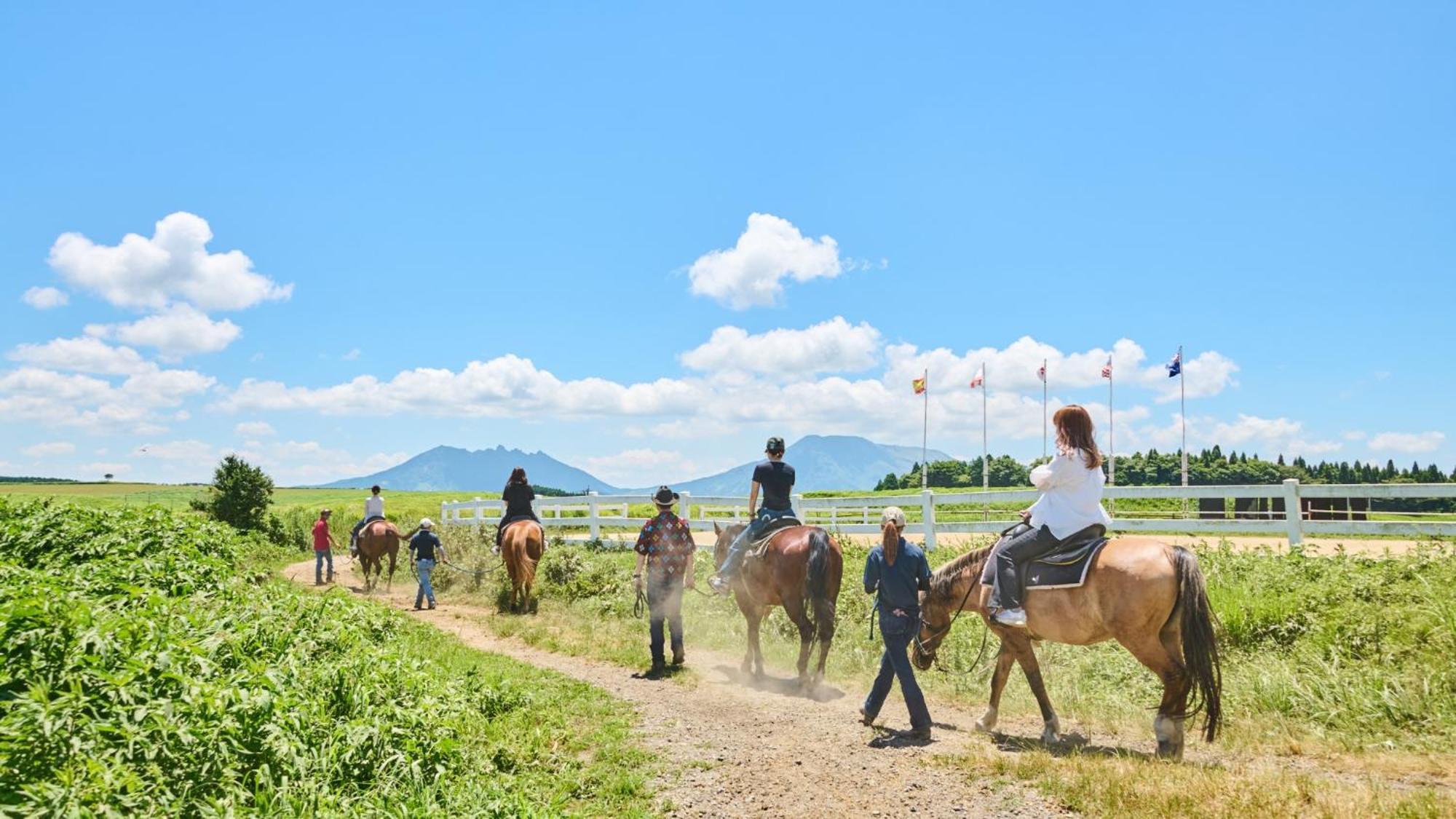 Гостевой дом El Patio Ranch Асо Экстерьер фото