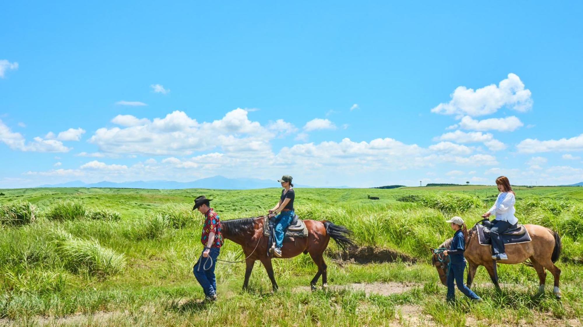 Гостевой дом El Patio Ranch Асо Экстерьер фото